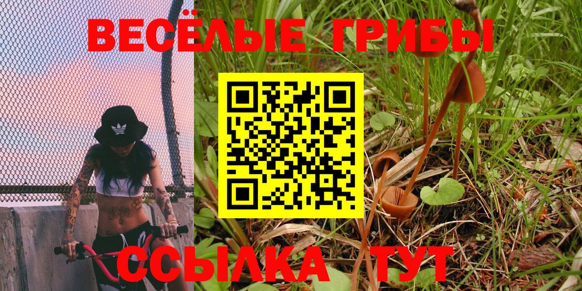 Нижний Новгород  Галлюциногенные грибы Psilocybe  Вход с VPN 