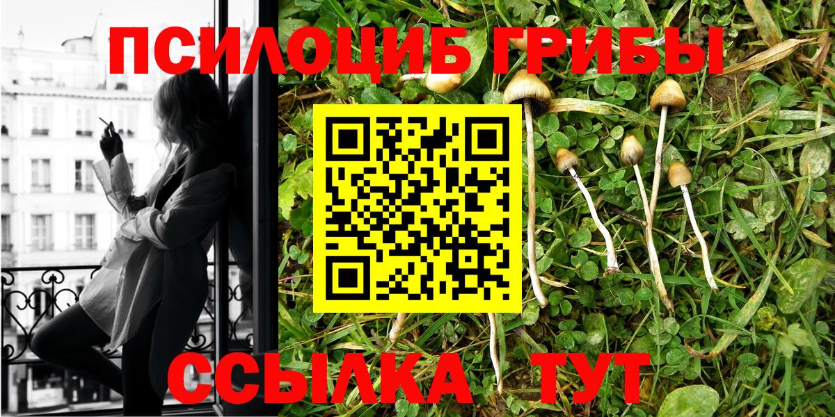 Галлюциногенные грибы Psilocybe Нижний Новгород
